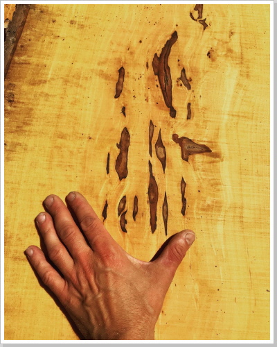 Lohnschnitt Birnbaum